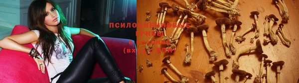 кокаин перу Белокуриха